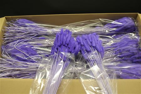 Droog Lagurus Violet Pb 60cm 100gram