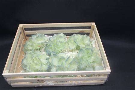 Wax Hydrangea Cremeblauw