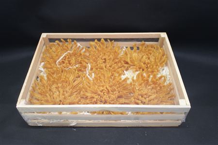 Wax Chrysant Oranje