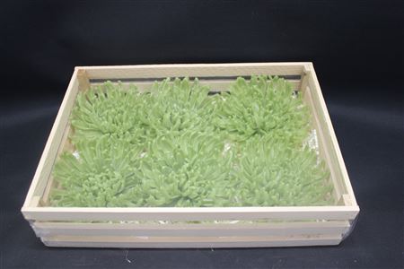 Wax Chrysant Groen