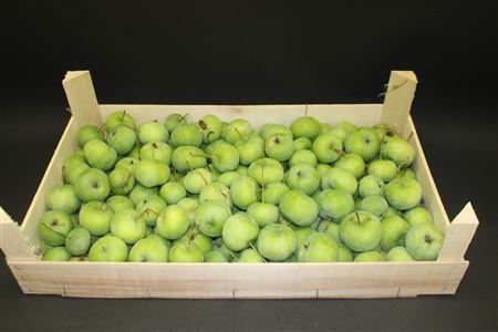 Sierappel Malus