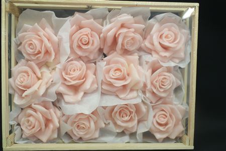 Wax Roos Rose
