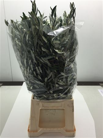 Olijf Per Bos