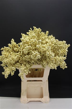 Decoration Material