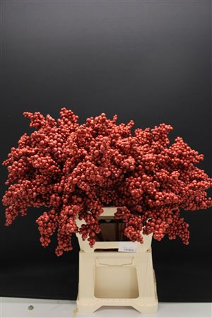 Decoration Material