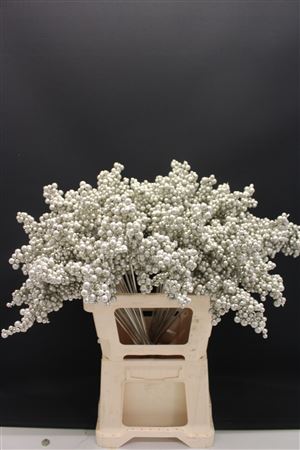 Decoration Material