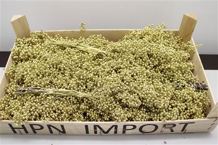 Pepperberry Goud