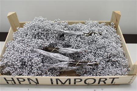 Pepperberry Zilver