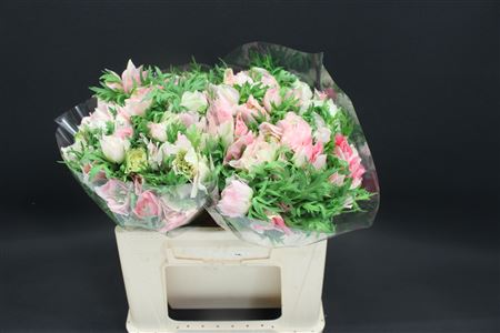 Anemone Pink 40cm