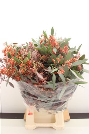 Euc Pop Bes Rood Fleuri
