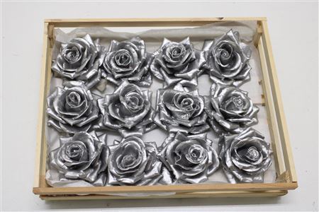 Wax Roos Zilver