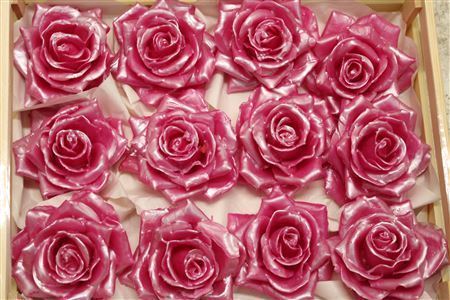 Wax Roos Parel Cerise