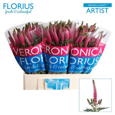 Veron Smart Artist