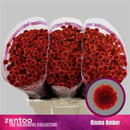 Chr S Kismo Amber 110gram