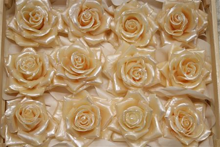 Wax Roos Pearl Peach
