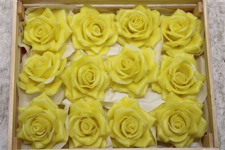 Wax Roos Geel