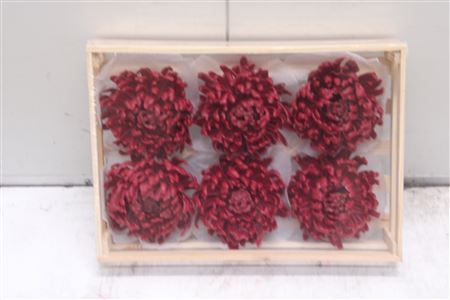 Wax Bol Chrysant Bordeaux