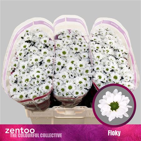 Chr S Floky 130gram