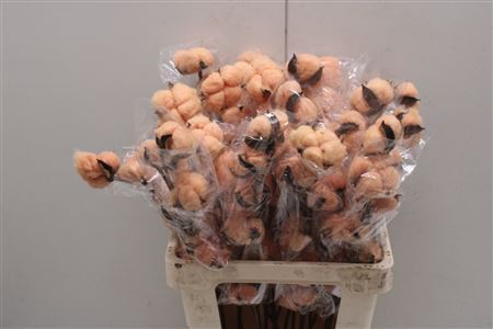 Decoration Material 60cm