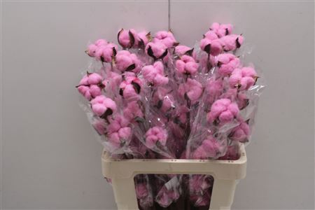 Decoration Material 60cm