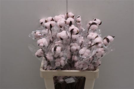 Decoration Material 60cm