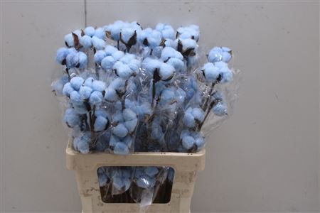 Decoration Material 60cm