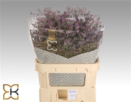 Limonium Dark Blue 80cm 40gram