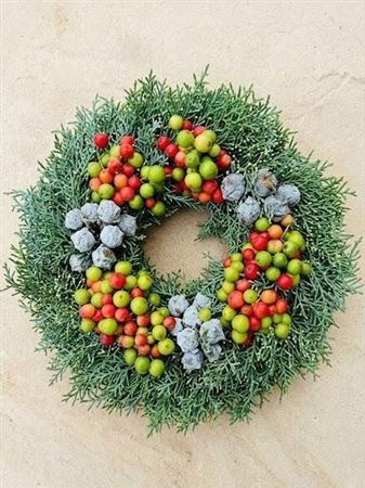 Fruits Malus Per Piece