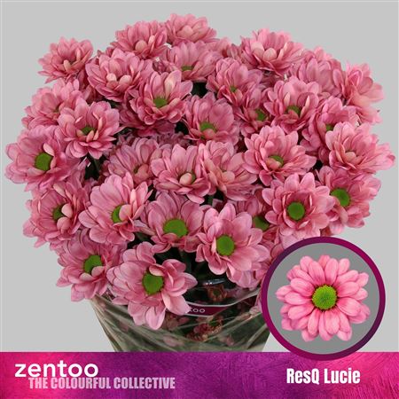 Chr T Resq Lucie 95gram