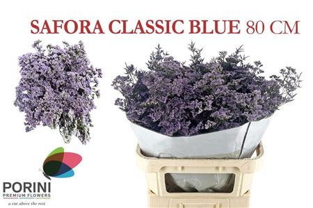 Limonium Saf Classic Blue 80cm 80gram